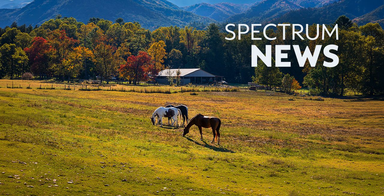 Horses grazing in a field with Spectrum News logo